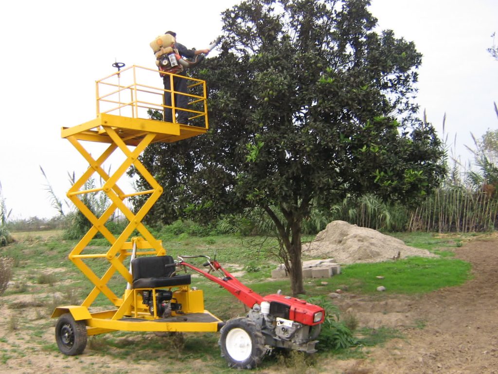 China fruit lifter